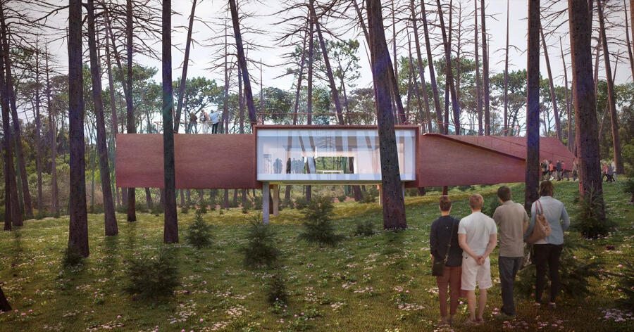 Forest Library 3D Exterior Visualization