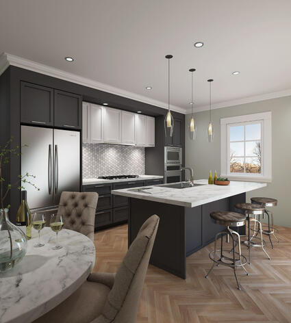 Kitchen design schemes 3D interior renderings